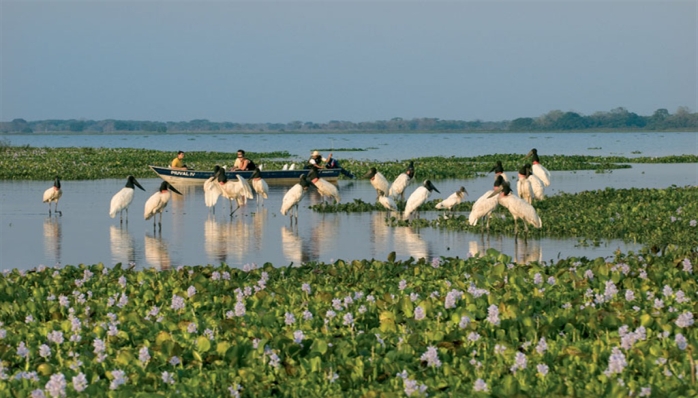 Pacote Pantanal - Promoção Férias - Janeiro a Março 2020